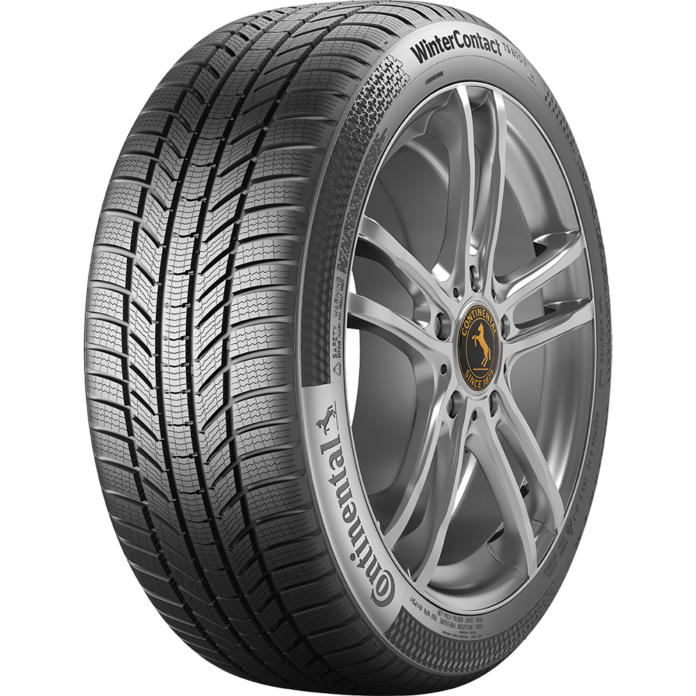205/60R17*H TS 870 P 93H